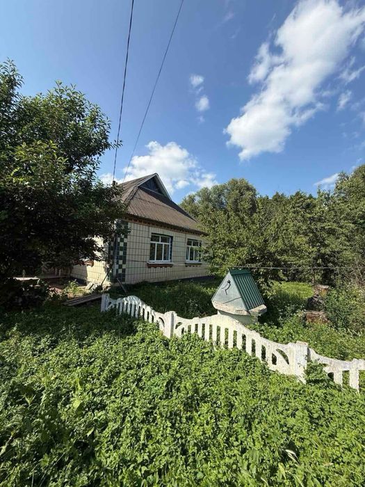 Продаж будинку в с.Шамраївка