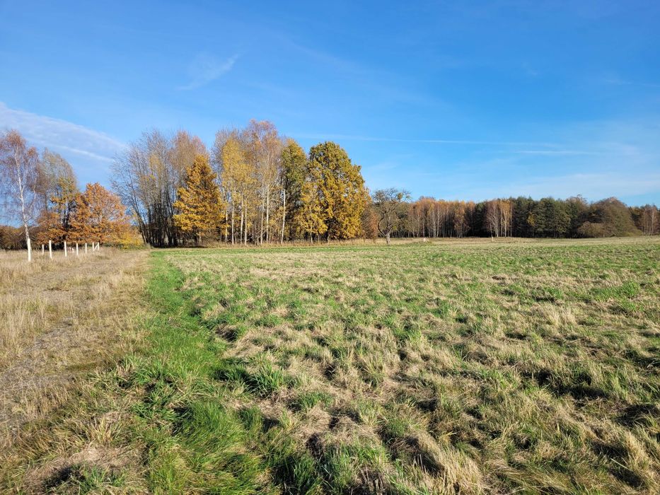 Urokliwa działka budowlana w malowniczej okolicy, 3km od Jeziora Woświn - Widok 5