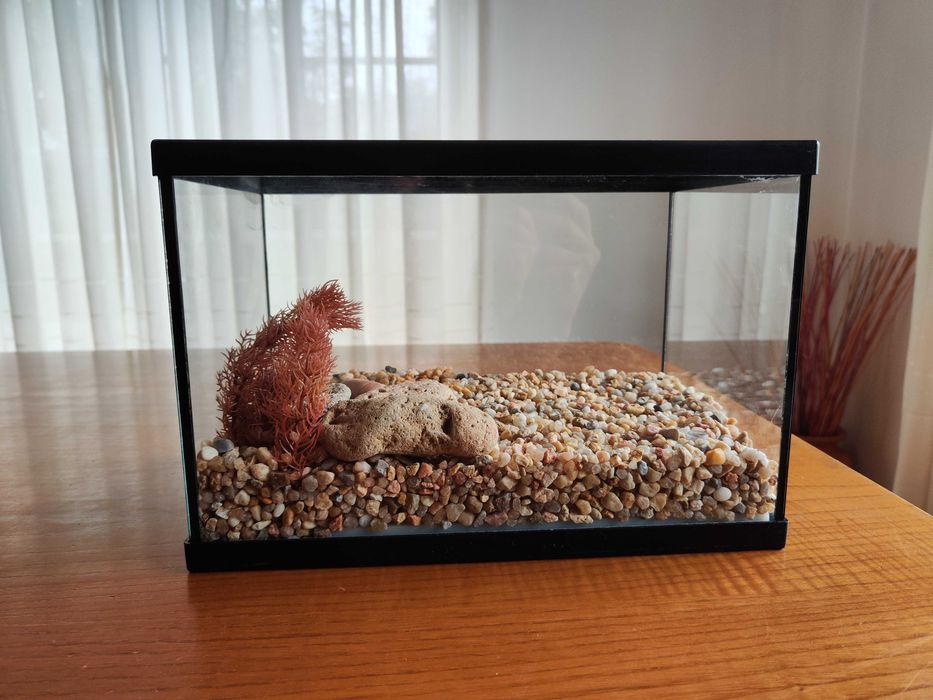 Aquario de 11L com decorações