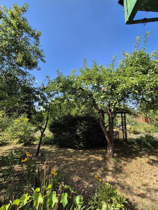 Ogródek działkowy ROD Jedność 300 m² - Widok 5