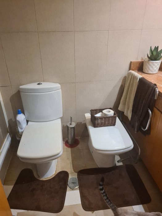 Arrendo quarto alcochete
