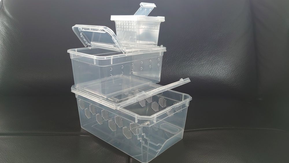 Terrarium plastikowe pojemnik box ptasznik + GRATIS !