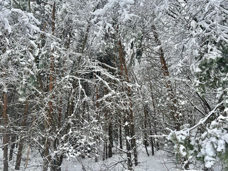 Земельна ділянка 2 Га!!! Копилів ! Терміново!