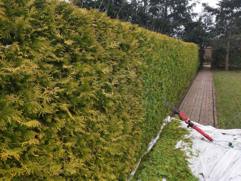 Zakładanie i pielęgnacja ogrodów