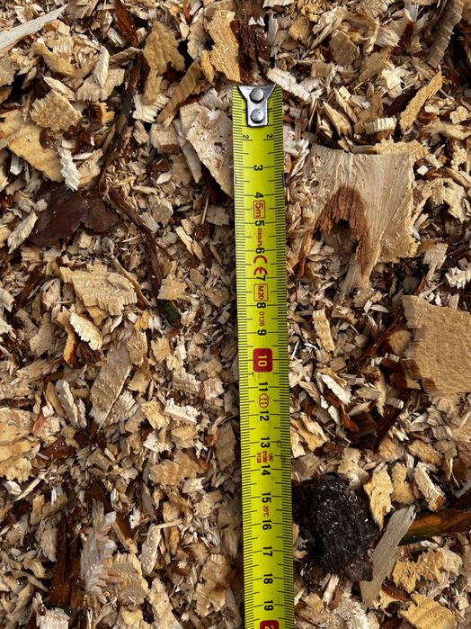 Trocina zrebka Otaczarka sosnowa.Ladunki całopojazdowe.