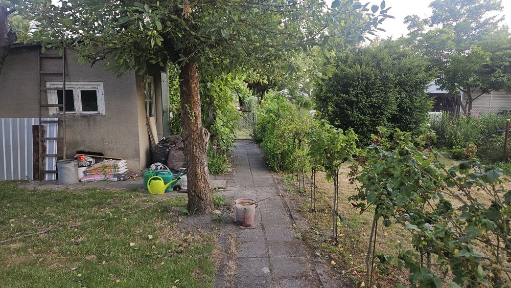 Działka ROD puchalskiego Zielona Gŏra 300m2