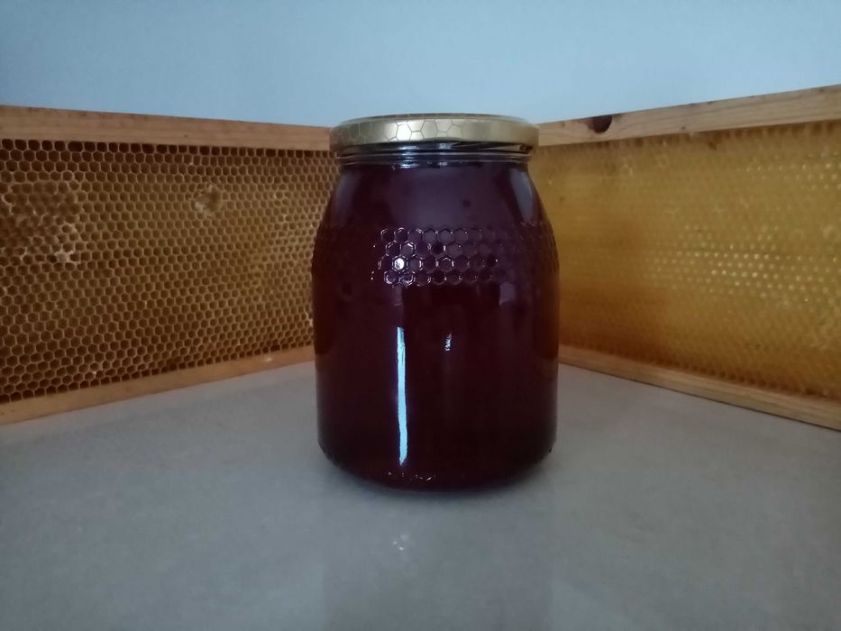 Mel - Multifloral - Serra Aire