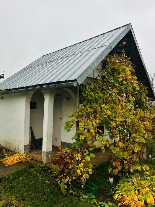 Działka ROD , 420 m , ogrody działkowe Borówka - Więcej