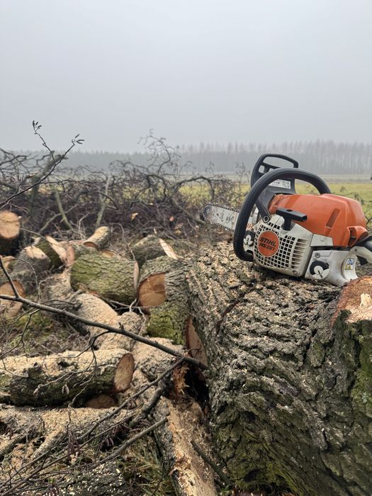 Czyszczenie działek