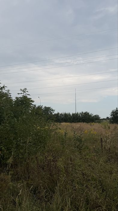 Земельна ділянка в Загальцях