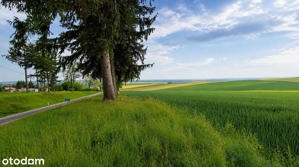 Wspaniała panorama każdego dnia | Działka budowlana 3010 m² Tarnawatka