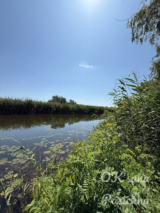 Продам ділянку на березі Дніпра