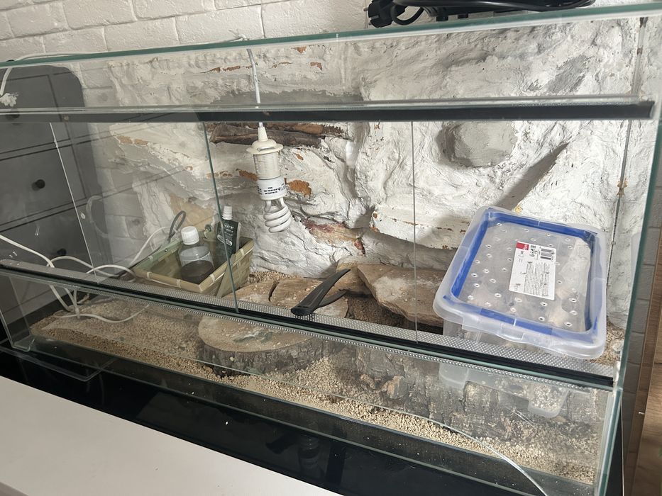 Terrarium 100x50x40