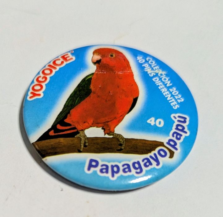 Iman Yogoice  Coleccion 2022, n° 40, Papagayo papu