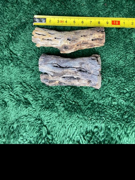 Cholla Wood QUALIDADE PREMIUM