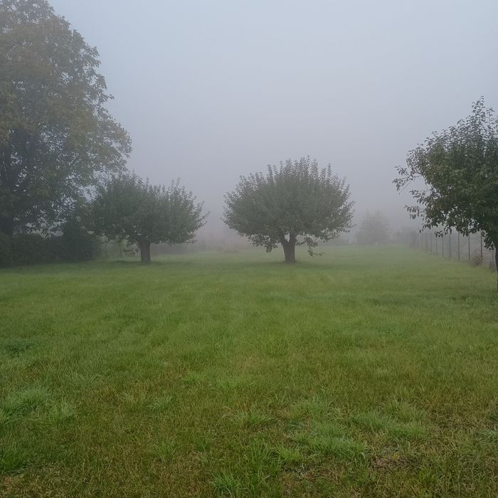 Ogrodzona działka 16 arów koło Chełma