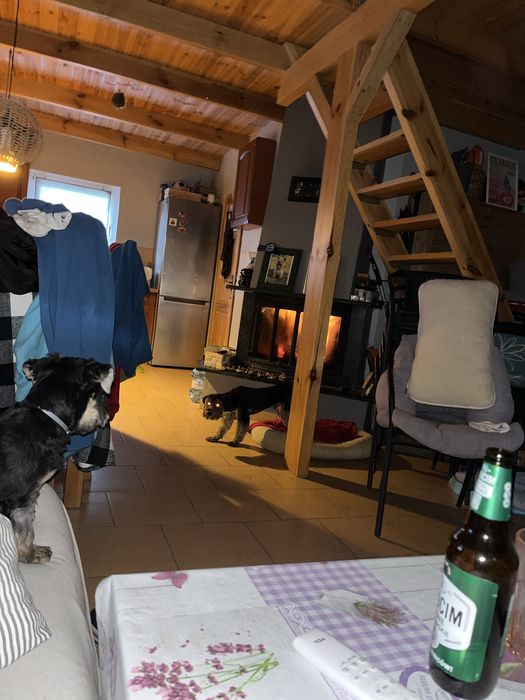 Na sprzedaż działka rekreacyjna 360 m² – Wudzyn