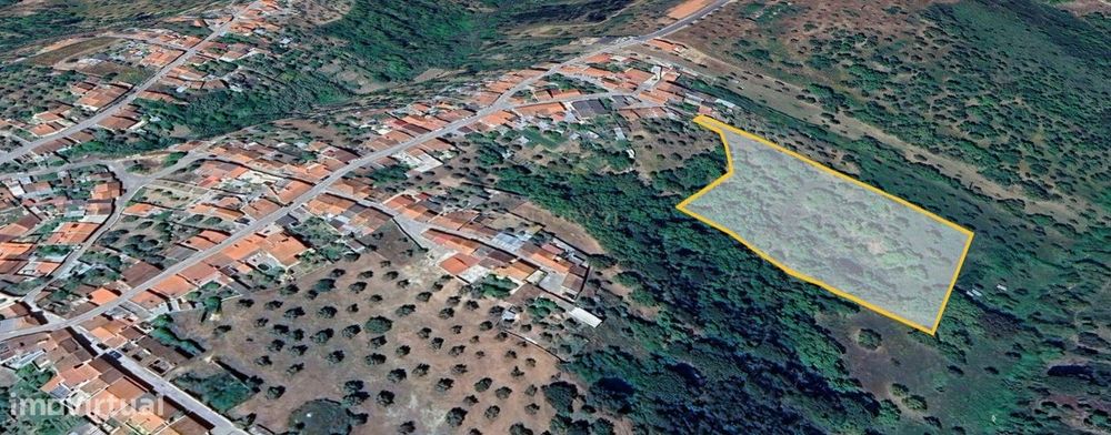 Terreno de 8280m² com cultura Arvense variada em Abrantes