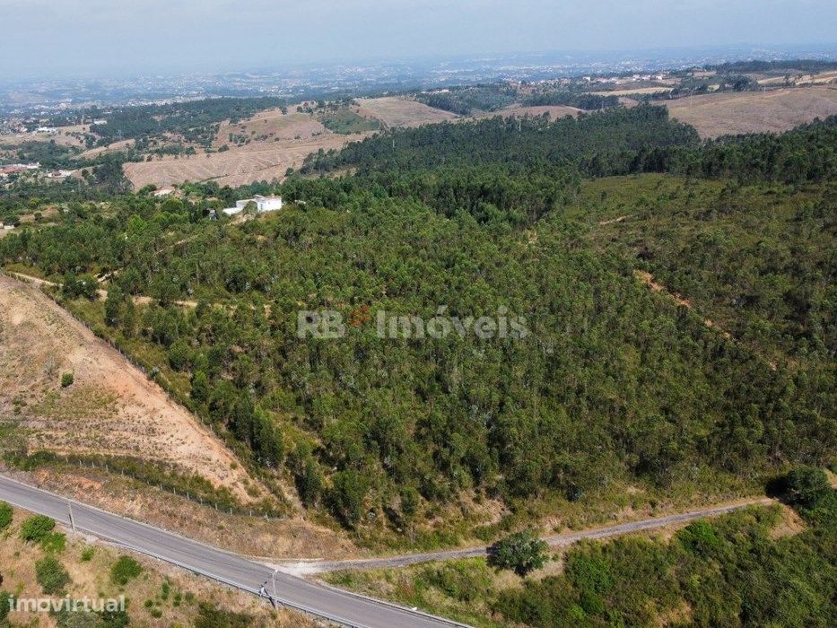 Terreno com 38360m² junto à Barragem de Castelo de Bode - Tomar — São Pedro de Tomar, Santarém