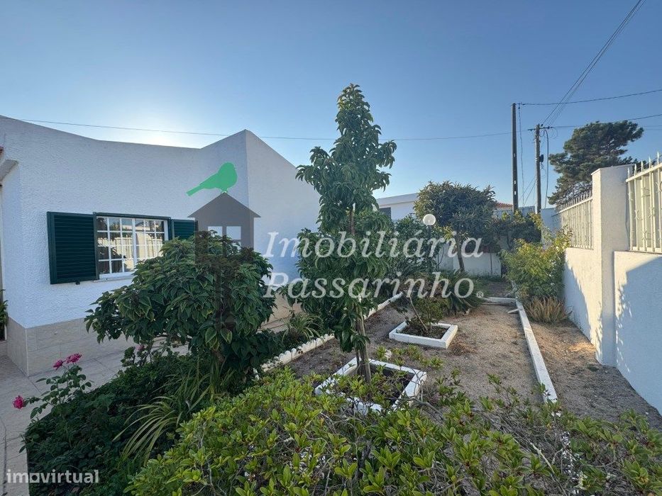 Moradia T3 isolada c/anexo - Aroeira