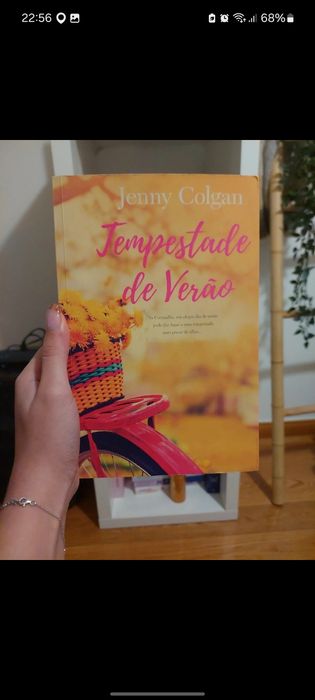 Livro: tempestade de Verão