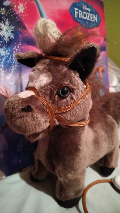Konik interaktywny-s.idealny