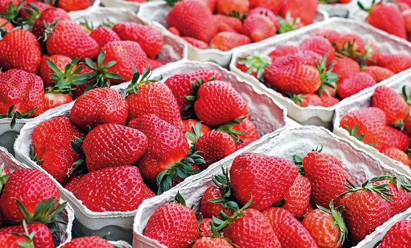 Закуповуємо  різну ЯГОДУ у населення (ДОРОГО)