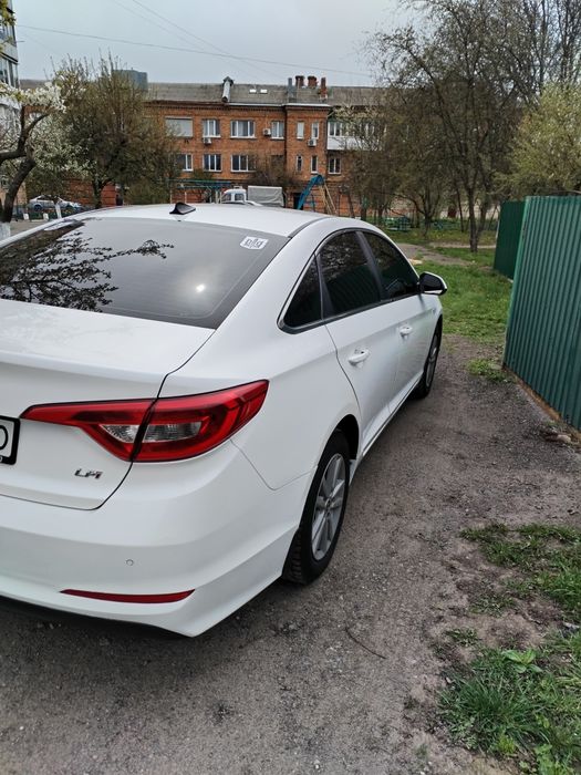 SONATA. LF. LPI. 2014.
