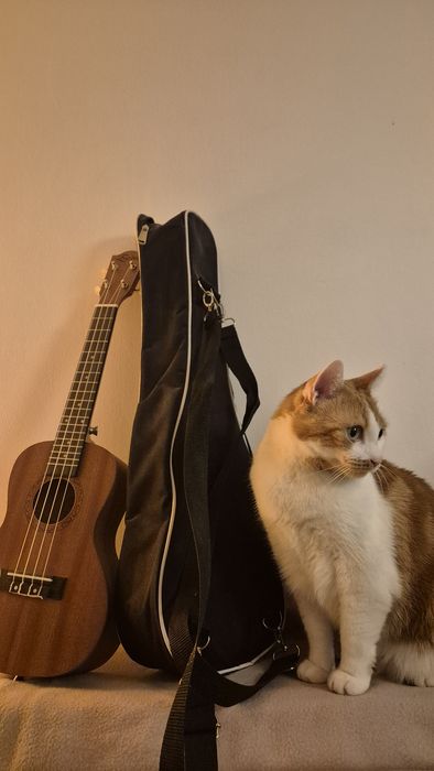 Ukulele koncertowe EverPlay UK24-30