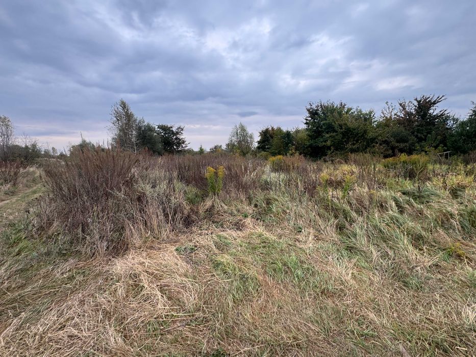 Продам участок 8 сот, дачне будівництво, перша лінія води, с. Зазим’я