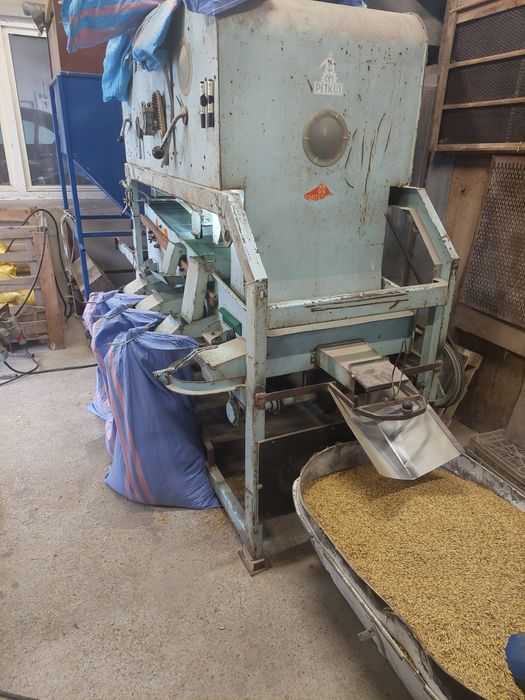 Sprzedam zboże, owies jary oczyszczony Petkusem