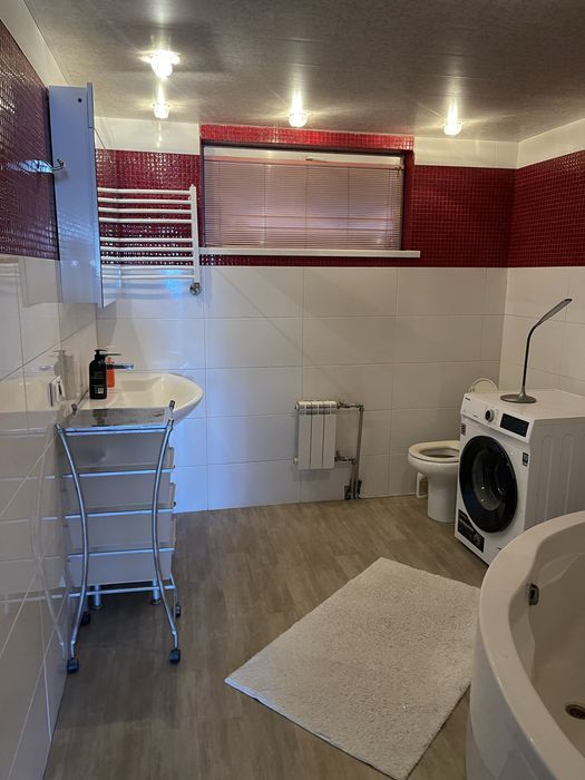 Будинок на березі Дніпра, лазня, баня на дровах, 5 кімнатний, подобово