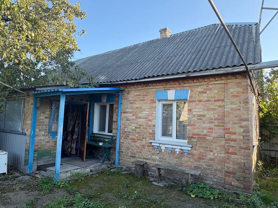 Будинок у селі Петрушки