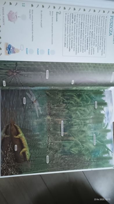 Książka Dinozaury i inne z terenu Polski
