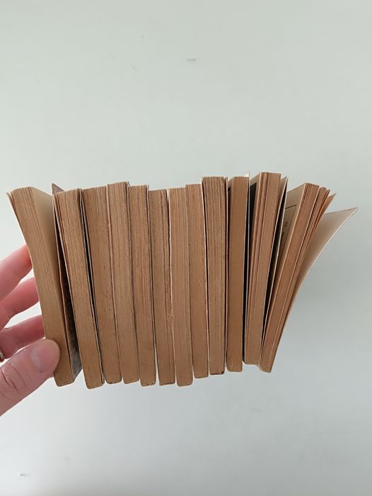 Conjunto de livros O Enciclopédia Brown