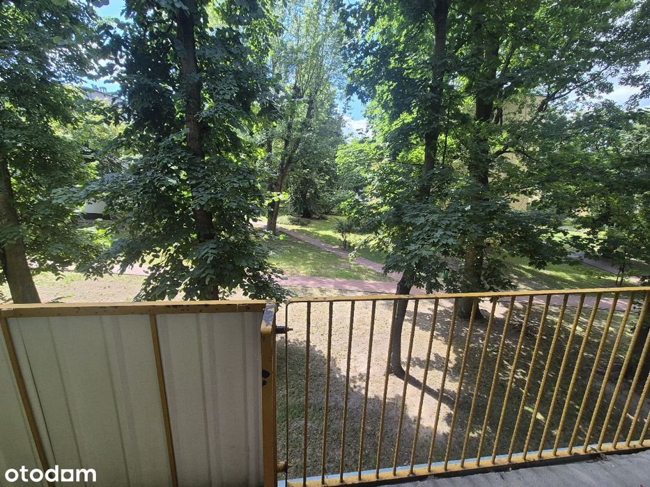 Zdjęcie 8