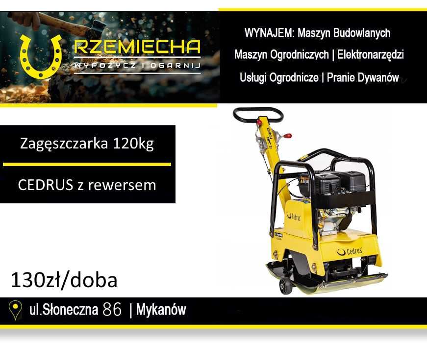 Zagęszczarka CEDRUS ZG06 122kg z rewersem. Wypożyczalnia