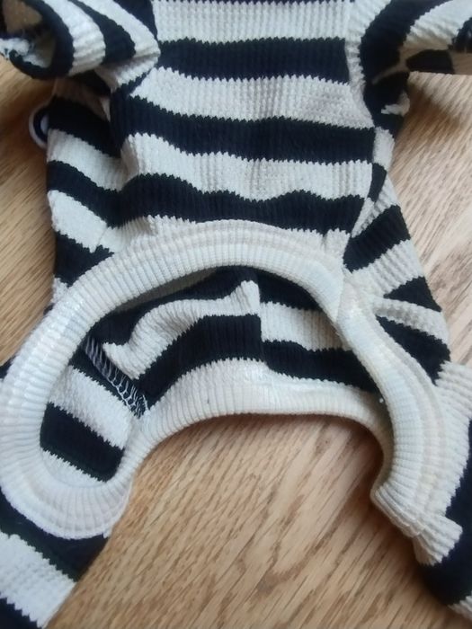 2 ubranka maltańczyk york XS