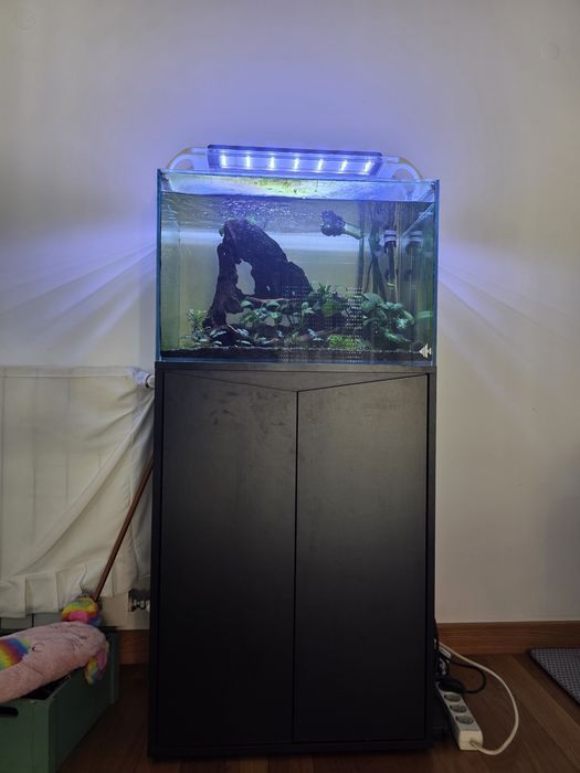 Aquário de 100lts com móvel, filtro e luz