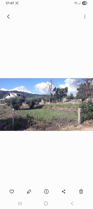 Quinta da Rocha  localizada em Pero Viseu / Fundão  -    Oportunidade