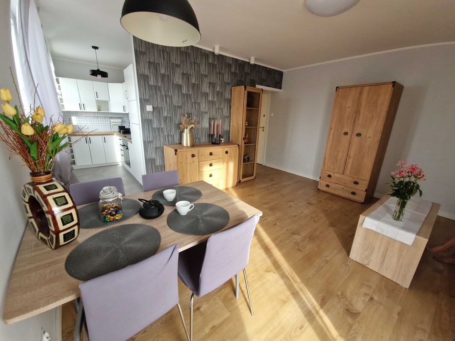 Mieszkanie 2 pokojowe Piątkowo