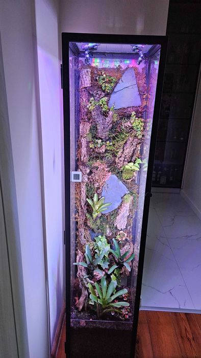 Terrarium tropikalne paludarium bioaktywne