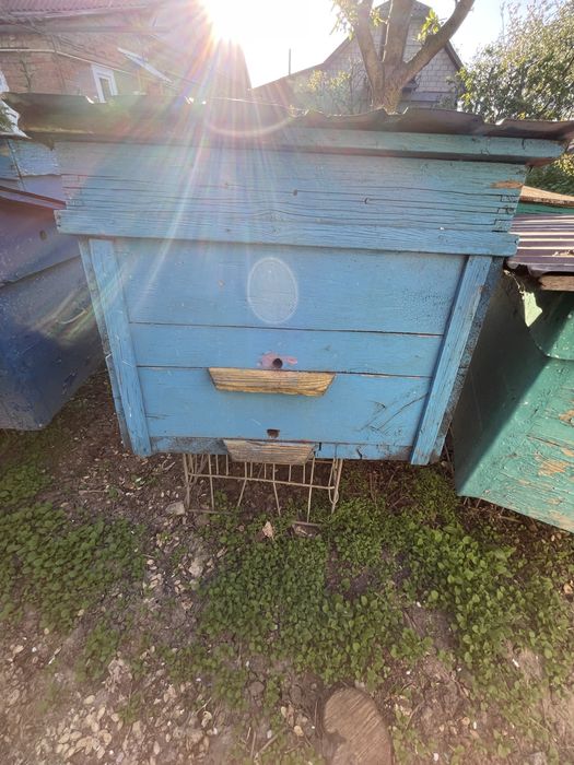 Продам вулики Дадан б/у