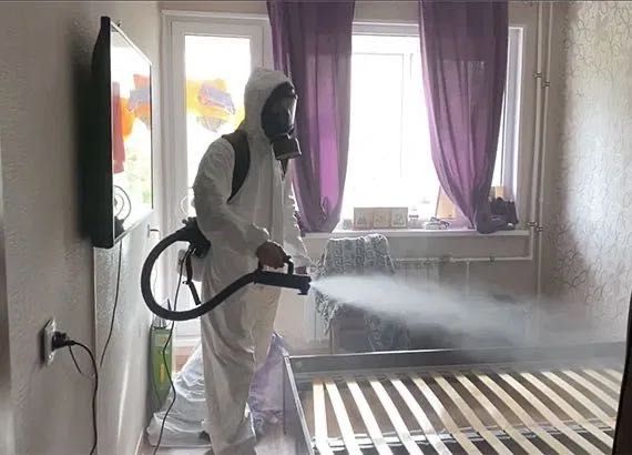 Знищення тарганів клопів бліх дезінфекція уничтожение травля тараканов