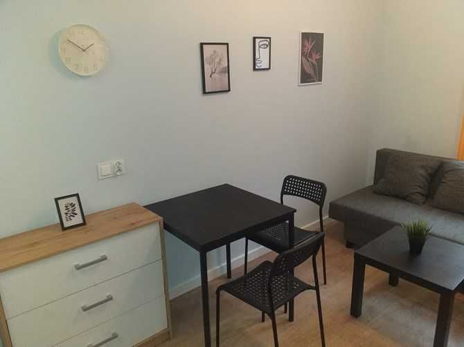 Studio, pet-friendly - Cmentarna 24, Śródmieście, BRAK PROWIZJI