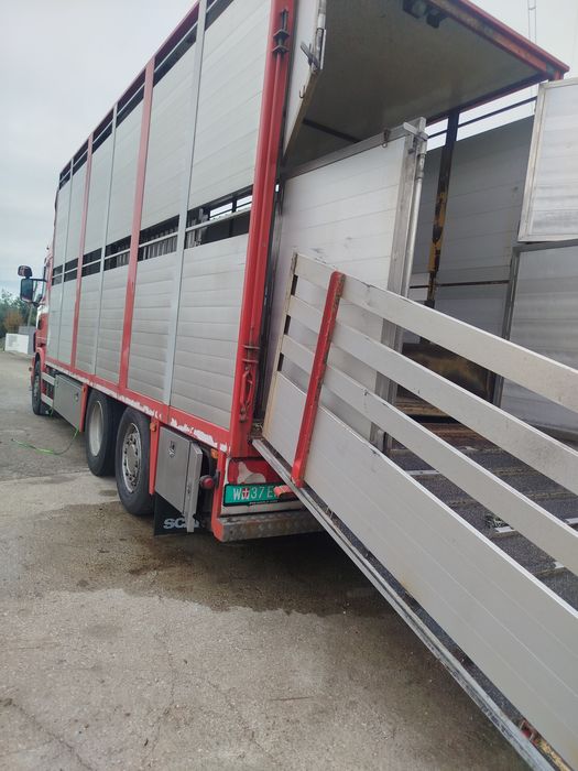 Venda de camiao 27 Toneladas duplo piso