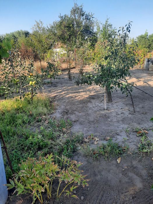 Дачный участок в кооперативе Металлург Раковка