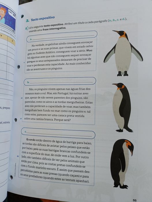 Caderno de Atividades Novo Livro Aberto 5° ano
