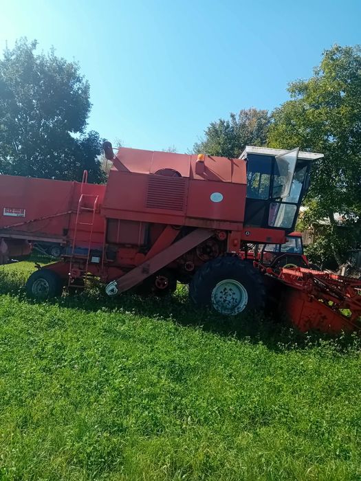Bizon Rekord Z058