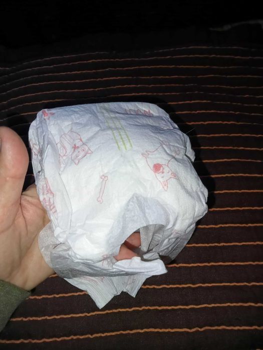 Fraldas para cadelas 2-5 kg